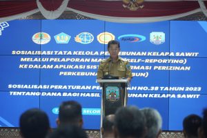 WhatsApp Image 2023-08-07 at 18.21.57