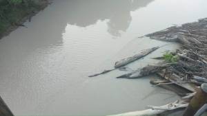 IMG-20240522-WA0029