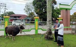 IMG-20240529-WA0024