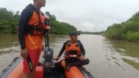 IMG-20250211-WA0101