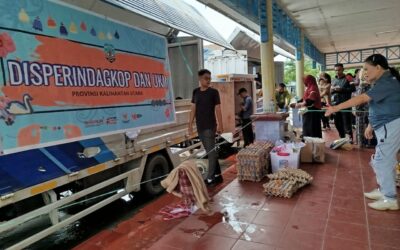 IMG-20250221-WA0064(1)