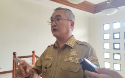 WhatsApp Image 2025-03-11 at 20.10.45