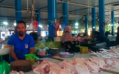 WhatsApp Image 2025-03-15 at 12.20.22