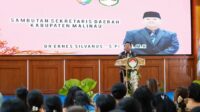 IMG-20250919-WA0018