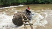 IMG-20250920-WA0012