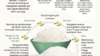 bantuan beras fortifikasi