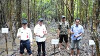 Mangrove Belaga-One. Melalui penanaman bibit mangrove di kawasan Belaga-One, Pemerintah Kabupaten Nunukan bersama masyarakat berupaya membangun pariwisata yang berkelanjutan sekaligus memperkuat ketahanan ekosistem pesisir.