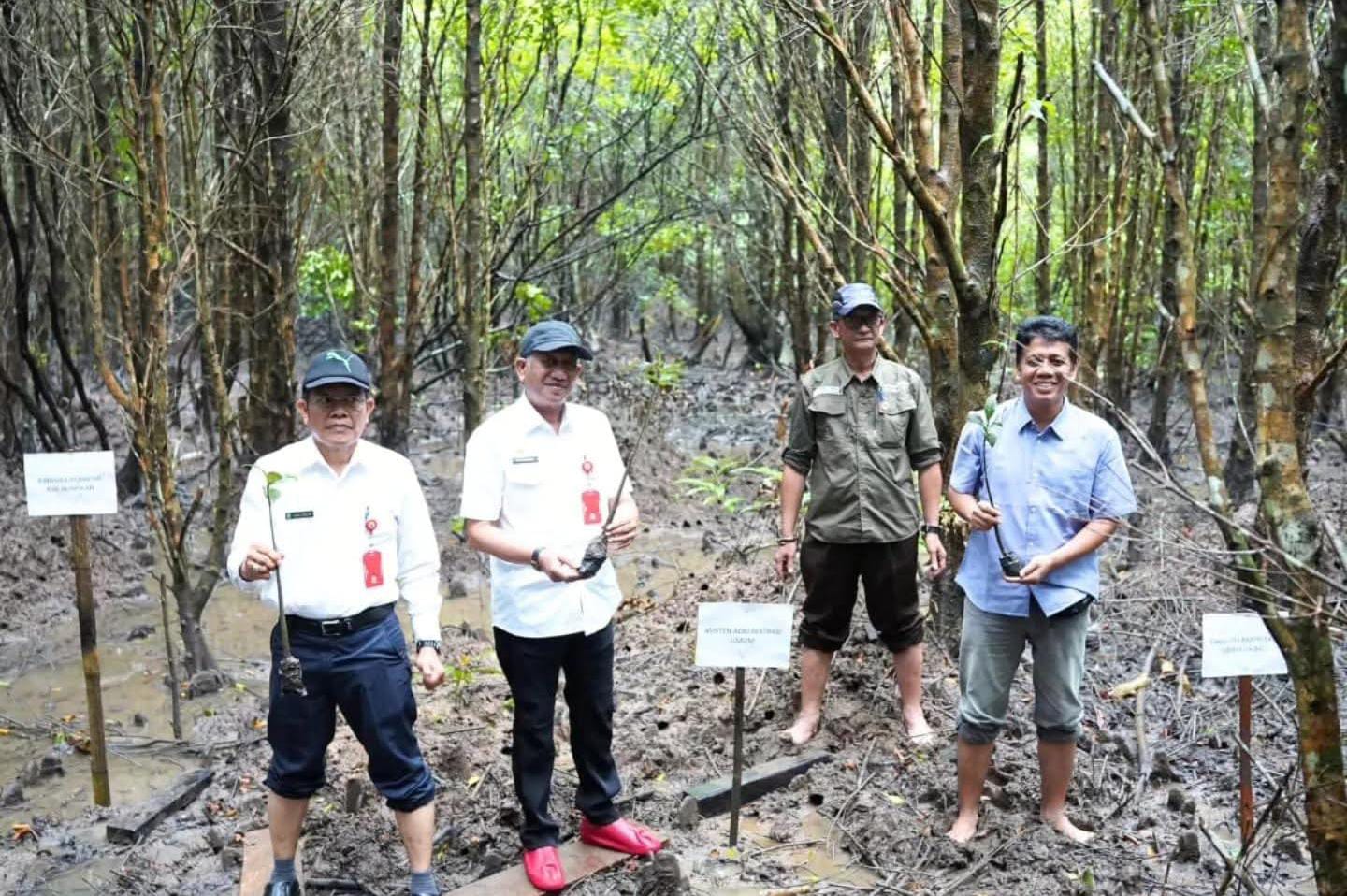 Mangrove Belaga-One. Melalui penanaman bibit mangrove di kawasan Belaga-One, Pemerintah Kabupaten Nunukan bersama masyarakat berupaya membangun pariwisata yang berkelanjutan sekaligus memperkuat ketahanan ekosistem pesisir.