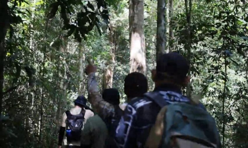 Aktivitas trekking di dalam kawasan TNKM, salah satu destinasi yang terdampak wacana penyatuan retribusi antara Balai TNKM dan desa wisata.