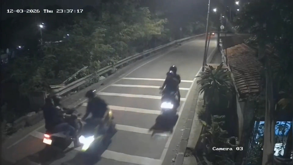 f879e7fb-fd28-485d-a3b7-451372ac8508