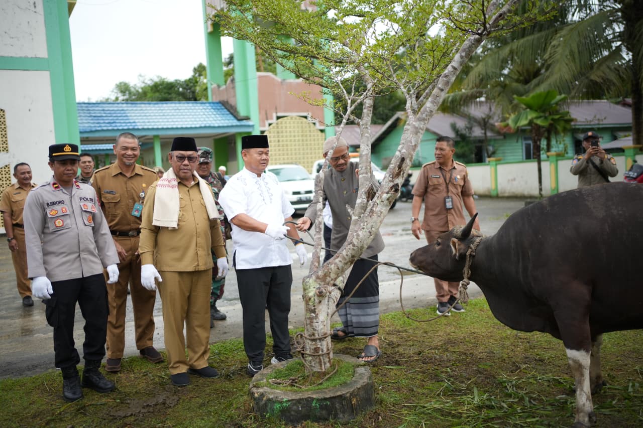 hibah hewan kurban malinau. hibah hewan kurban malinau.