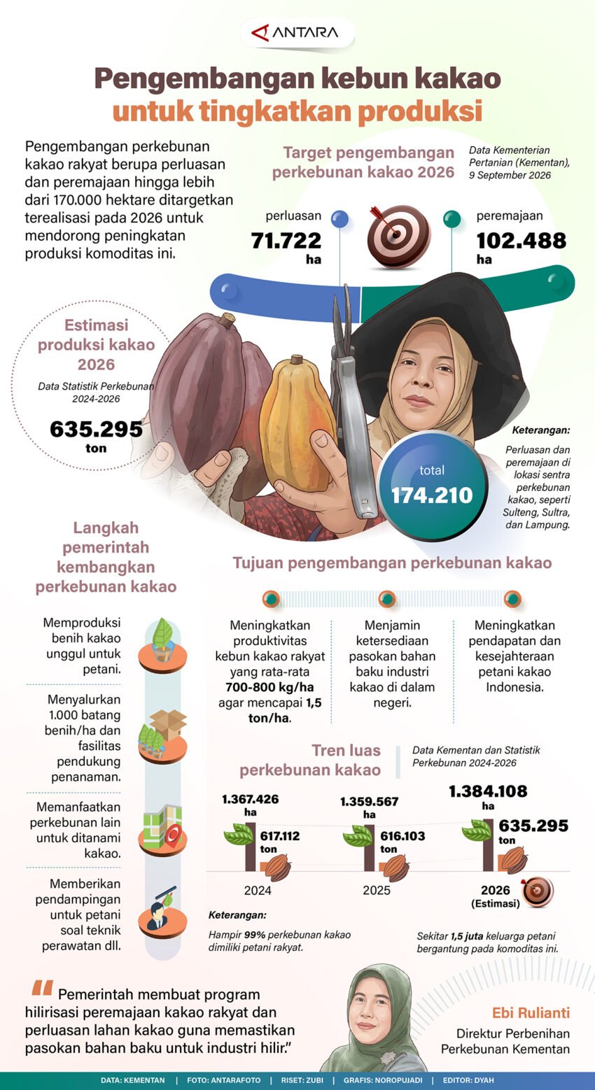 Perkebunan-kakao-rakyat-dikembangkan-untuk-dongkrak-produksi