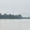perda-ekosistem-sungai-malinau.jpeg