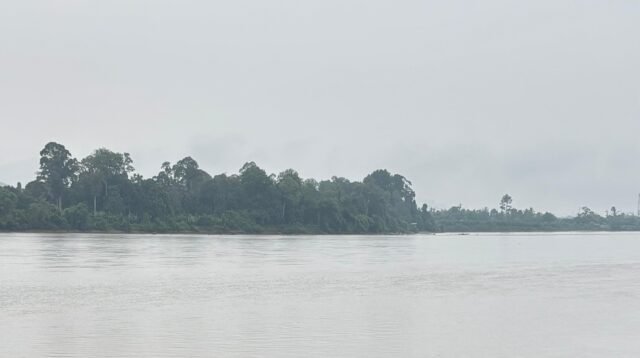 perda-ekosistem-sungai-malinau.jpeg
